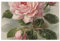 Badteppich, Wohnzimmerteppich, Vintage, schöne Rose, waschbar, Outdoor-Teppich, saugfähig, Badezimmermatte, Teppich, rutschfest, für Innenbereich, Terrasse, Veranda, Garten, Balkon