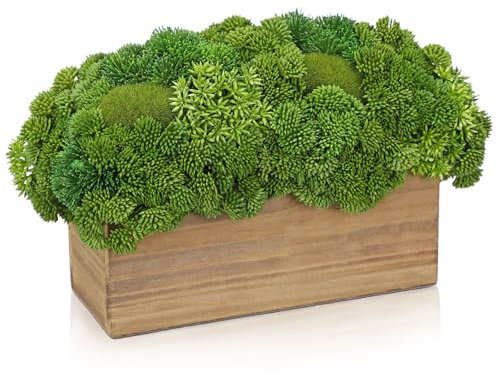 Hollyone Piante grasse artificiali da 20 cm, in vaso di legno, piccole piante grasse finte per decorazione domestica, pianta finta decorativa per interni per soggiorno, scaffale, tavolo da cucina