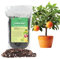 Citrus Tree Potting Soil Mix, Special Blend for Indoor Oranges, Lemons, Limes and More - (2 Liters Bag)