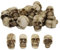 Wpsagek 20 Stück Totenkopf Figur, Kleine Schädel Köpfe Aus Harz, Scary Skelett Schädel Für Horror Blumentopf Deko