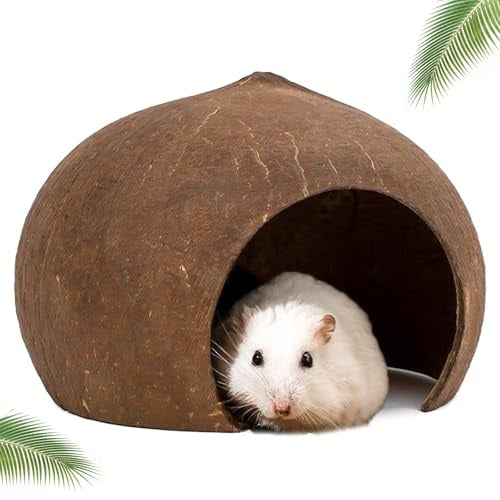 DXQCHDUO Maison pour hamster en noix de coco, cachette en coquille de noix de coco, nichoir pour petit animal domestique, nichoir pour petit animal domestique (13,5 x 7,6 x 10,5 cm)
