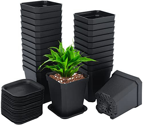 KINGLAKE 24 macetas de plástico Grueso de Color Negro, 7 x 8 cm, Maceta pequeña con paletas para Plantas suculentas pequeñas en macetas