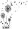 WDZYRM Wandsticker Pusteblume Sprüche Und Zitate Wandtattoo Pusteblume Schmetterling Großes Wandtattoo Pusteblume Set Schlafzimmer ​Wohnzimmer Küche Wanddeko Wandsticker Schwarz