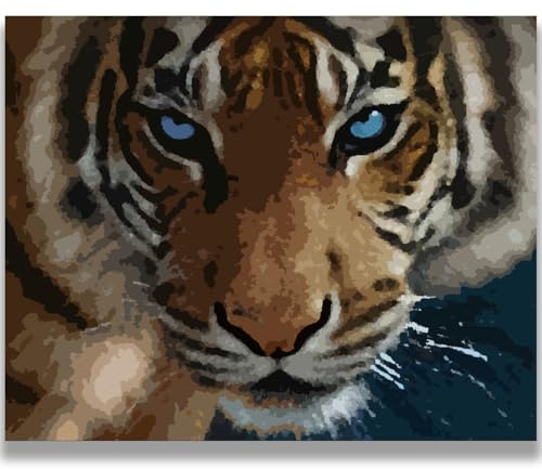 Homorro Peinture Numero Adulte Par Bricolage Loisirs Créatifs Activité Manuelle Coloriage 50×40cm DIY Dessin Paint by Numbers Tableau Decoration Murale Chambre Cadeau Femme Anniversaire Idee