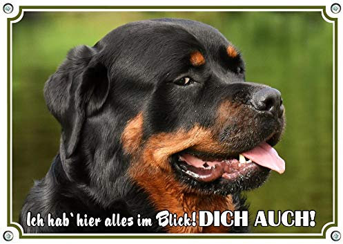 Petsigns Rottweiler Hundeschild Kopf - Metallschild wetterfest und uv beständig, DIN A5