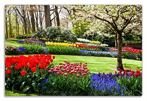 Wallario Frühstücksbrettchen aus Glas, Glasunterlage, Glasbrettchen Bunte Blumen und Kirsch-Baum im Park blühen im Frühling, Größe 20 x 30 cm, Sicherheitsglas