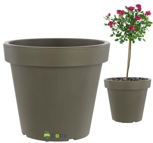 Vaso da fiori grande, 55 l, 58 x 53 cm, in pietra grigia, ruote di trasporto, alberi da giardino in crescita, ideale per piante innestate su un tronco, in plastica