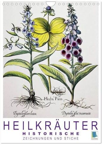 Heilkräuter: Historische Zeichnungen und Stiche (Wandkalender 2026 DIN A4 hoch), CALVENDO Monatskalender: Farblithografien und Kupferstiche ... und Schlafmohn (CALVENDO Wissen)
