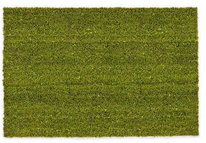 Carpido rutschfeste Kokosmatte - 100 x 300 cm Grün - Nachhaltige Naturfaser für den überdachten Außenbereich - 100% Kokos Fußmatte - Türmatte Eingang