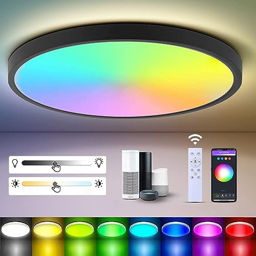 CANMEIJIA LED Ceiling Light, 12 Inch 24W Smart Ceiling Lights RGB Dimmable with Remote Control Bathroom Lights 3000-6500K 2520LM for Living Room Bedroom Kitchen Hallway Round