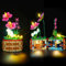 LED-Licht Kit Kompatibel mit Lego 43252 Vaianas Blumentopf, LED Beleuchtungsset Kompatibel mit Lego Moana's Flowerpot 43252(nur Lichter, Keine Modelle)