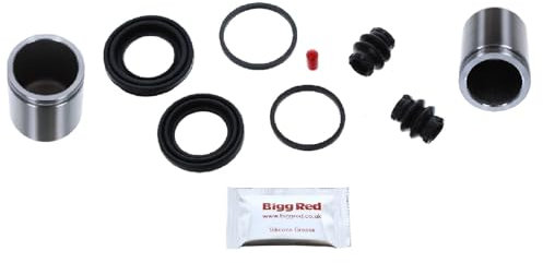 Bigg Red - Front L or R Brake Caliper Rebuild Repair Kit + Pistons - Compatible with Vauxhall Vivaro 2001–2014