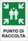 Pubblimania Punto di Raccolta | Cartello di emergenza e sicurezza in alluminio metallo composito 3 mm di spessore (Cm 20x30) (Punto di Raccolta)