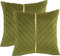 Tosleo 2 Stück Samt Kissenbezüge 50x 50 cm Dekorative Grün Kissenhülle mit Gold Leder Luxus Moderne für Wohnzimmer Schlafzimmer Sofa Kissen Bett
