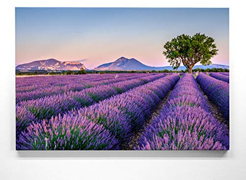 Traumhaftes Leinwandbild - Provence - als 90x60cm großes Wandbild. Perfekt als Hintergrund und Deko für Wohnzimmer & Schlafzimmer. Aufgespannt auf Holzrahmen