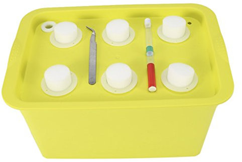 Zerodis Hydroponik Anzuchttopf Pflanztopf Blumentopf Soilless Gemüseanbau Gemüse Pflanzen Pflanzenwachstum 6 Löcher für Indoor Outdoor(Grün)