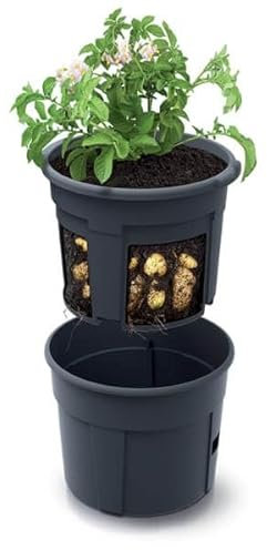 Gardening Naturally Potato Grow Pots Pack of 3 Grow Potatoes on Your Patio Ready to Pick in 8-10Weeks