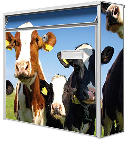 banjado® Burg-Wächter® Briefkasten mit Motiv Kühe/Briefkasten ohne Zeitungsfach 32x36x10 cm groß/Briefkasten mit Namensschild A4 Einwurf inkl. Montagematerial & 2 Schlüsseln