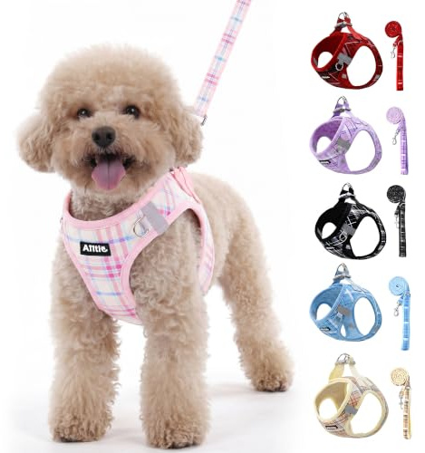 AIITLE Set Hundegeschirr+Leine reflektierend verstellbar, Rosa XS | weiche Weste, Karomuster, atmungsaktiv, gepolstert, kein Ziehen, für alle Hunde, Spazieren, Laufen, Camping