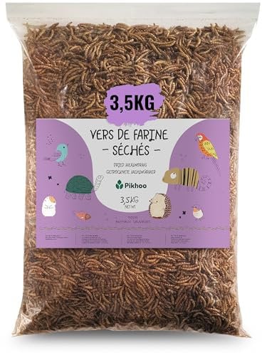 vers de Farine Séchés | 3,5kg | Insectes Comestibles vers de Farine pour Oiseaux du Ciel Insectes séchés Nourriture Oiseaux Exterieur