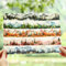 MisKepaa Scrapbook Zubehör Tape for Mountain and Forest, 6 Rolls PET Washi Tape Set, Jahreszeiten Scrapbook Stickers for Scrapbooking, Journaling, Bullet Journal, DIY Crafts, Gift Wrapping, Painting