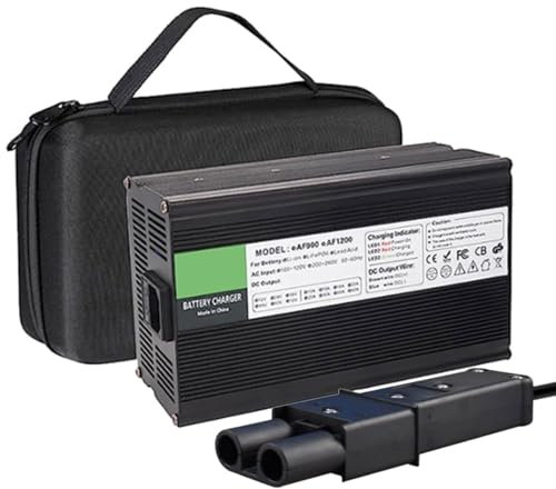 SFKLYU Chargeur Batterie Plomb Acide 48 V 5/6/8/10/15/17/18 A Intelligent avec Prise 2 Broches pour la Charge des Batteries Plomb Acide,A1,48V18A