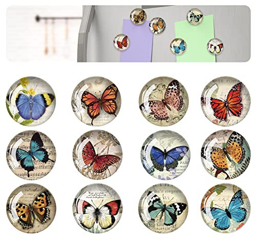 FuninCrea Magnet Kühlschrank Aufkleber, 12 Stücke Glas Bunter Schmetterling Muster Kühlschrank Magnet Aufkleber Anwendbar auf Kühlschrank Dekoration (B)