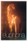 THEGIS Euphoria Leinwand-Poster, Schlafzimmer, Dekoration, Sport, Landschaft, Büro, Raumdekoration, Geschenk, ungerahmt, 30 x 45 cm