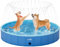 Pecute Paddling Pool for Pet with Sprinkler, Sturdy Foldable Dog Swimming Pool Bathtub, Anti Slip Pets Bathing Pool for Garden Great for Backyard Outdoor Travel - 180 * 30cm