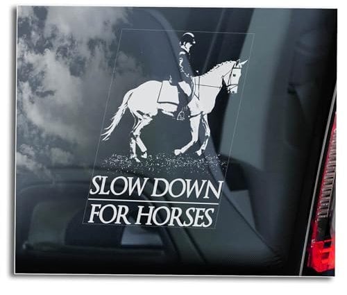 'Slow Down for Horses' Car Sticker, Horse Safety Window Sign, Equestrian Riding Vinyl Decal Gift -V01 (Inside - White Reverse Print)
