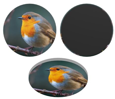 Fridge Magnets Waterproof Small Strong Magnets for Fridge Robin on Branch Refrigerator Magnets Kitchen Accessories Cute Decorative Magnets for Whiteboard Locker Office Home Decor