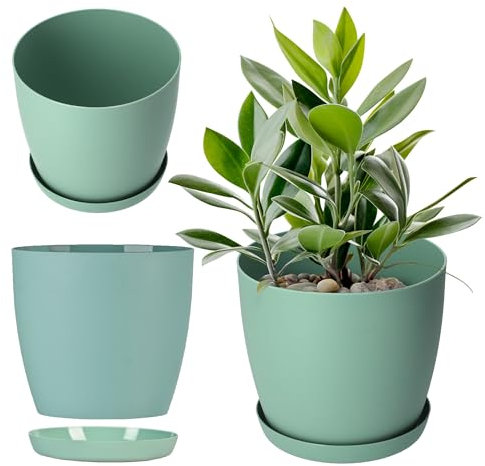 KADAX Vaso da fiori, fioriera con piattino, vaso da fiori rotondo in plastica, vaso opaco per cactus, felci, fioriera lucida per balcone, appartamento e terrazza (⌀ 16 cm, menta)
