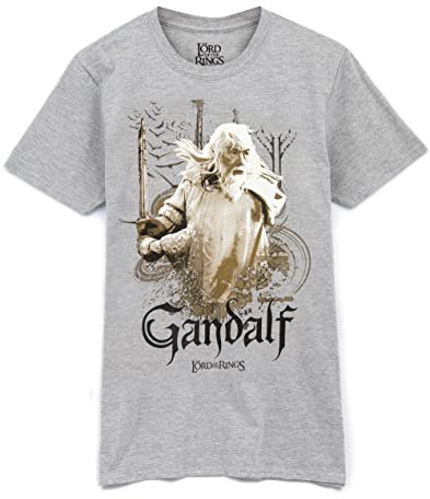 The Lord Of The Rings Mens T-Shirt Gandalf Wizard Movie Grey Top
