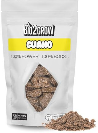 Bio2Grow Guano Dünger 500 g – Fledermaus NPK 1-10-1 für Blütenbildung bei Spezialkulturen Tomaten Chili & Gemüse – Organischer Naturdünger mit hohem Phosphor
