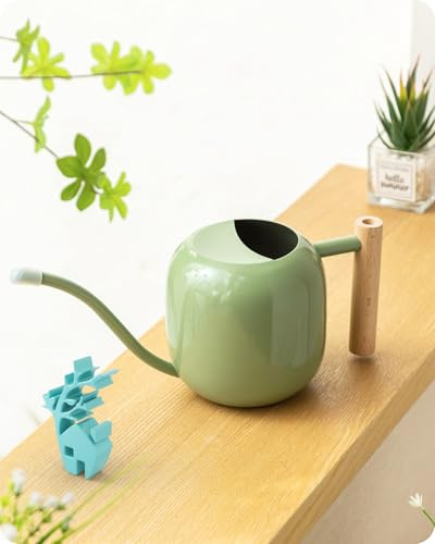 Baffect Indoor Watering Can, 1.2L/41OZ Stainless Steel House Bonsai Watering Can with Smooth Handle, Metal Garden Watering Can with Long Spout for Small Pot Plants and Flowers (Sage Green)