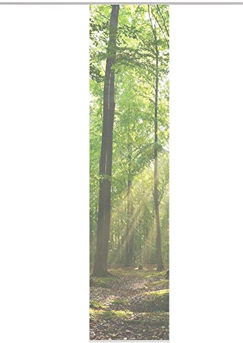 Home Wohnideen Schiebevorhang Digitaldruck Bambus-Optik Floresta Links 260 x 60 cm Grün