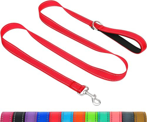 Taglory Hundeleine Mittelgroße Große Hunde Leicht | Doppelseitig Reflektierend | Gepolsterter Griff | Unterstützung 10 bis 75 kg | 1.8m x 2.5cm | Rot