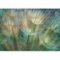 murando - Papier Peint Panoramique Adhésif Nature 392x280 cm - Tapisserie Murale Autocollante Décoration Moderne Chambre Salon - Gris vert - b-C-10066-a-a
