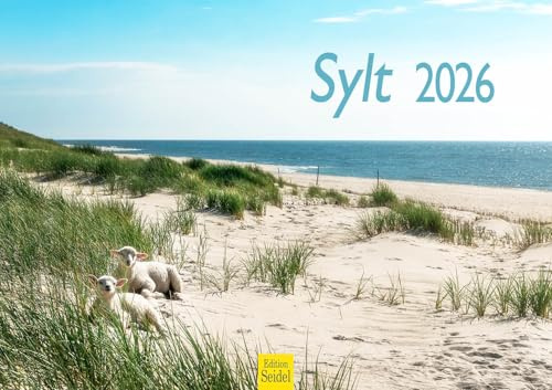 Edition Seidel Premium Kalender Sylt 2026 Format DIN A3 Wandkalender Naturkalender Deutschland Ostfriesland Schleswig-Holstein Nordsee Insel