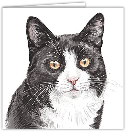 Maturi Blanko-Grußkarte mit Aquarellbild - Schwarz-weiße Katze