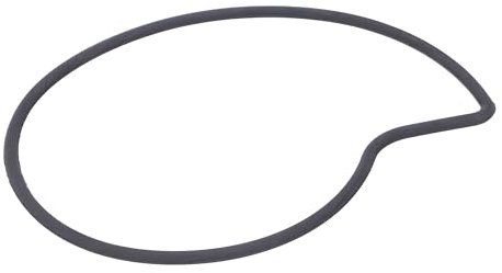 O-Ring Piaggio Dichtring Wasserpumpe für Piaggio LC 125-300, 485080
