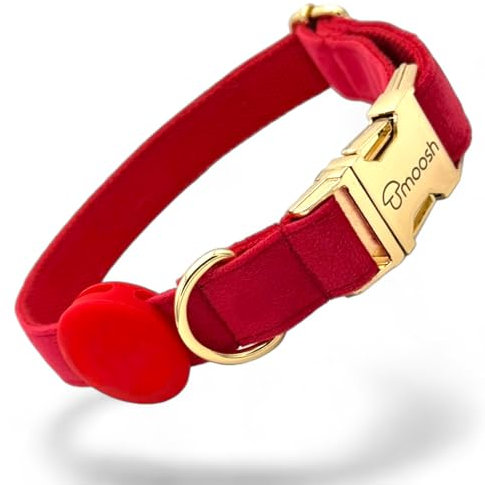 Luxus-Hundehalsband aus Samt mit Airtag-Halterung - Eleganz & Sicherheit für Ihren Vierbeiner in Allen Größen