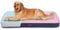 Aufblasbare Hundebetten