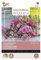 Buzzy Colourful Bouquets, Pretty Pink