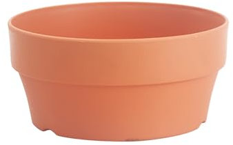 Vaso in terracotta per piante grasse con foro, contenitore, giardino interno, vaso per bonsai, vaso da fiori, diametro 25 cm, in plastica (Brown, taglia unica)