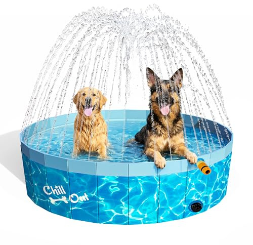 ALL FOR PAWS Large Dog Pool with Sprinkler, 2-in-1 Foldable Dog Swimming Sprinking Pool Non-Slip Hard Plastic Splash Sprinkler Kiddie Pool for Outdoor Backyard Dogs Ducks and Pet Baths (160CM)