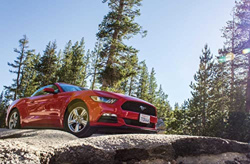 HANSEPUZZLE 15538 - Wilder Mustang Puzzle 500 Teile | Fortbewegung Puzzle mit hochwertiger Puzzle Aufbewahrung: Kartonbox und Wieder verschließbarem Beutel | Puzzle-Maße: 46 x 30 cm