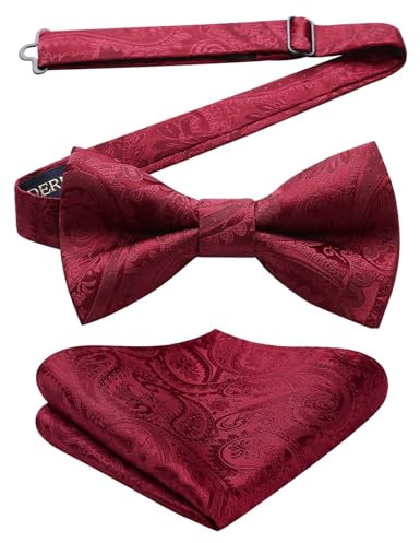 HISDERN Fliegen für Herren Taschentuch Paisley Vorgebundene Bordeaux Fliegen mit Einstecktuch Set für Hochzeit Party