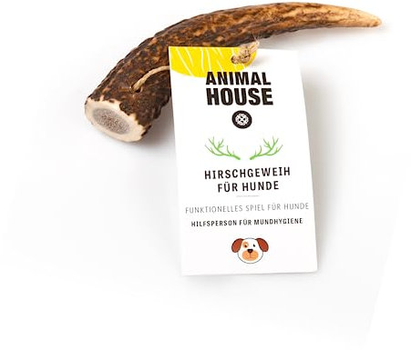 ANIMAL HOUSE - Corna di Cervo per Cani Intere - Masticativo Naturale al 100% - Rafforza Igiene Orale - Resistenti e Duraturi - Disponibili in Tutte Le Taglie (XS)