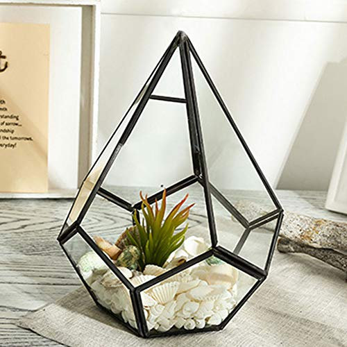 11,9 Cm Großes Geometrisches Pflanzenterrarium aus Glas, Modernes Tisch-Pflanzgefäß Für Terrarien, Sukkulenten- Und Luftpflanzgefäß Für Frauen, Feengarten-Geschenk, Schwarz (Pflanze Nicht Im Lieferumf